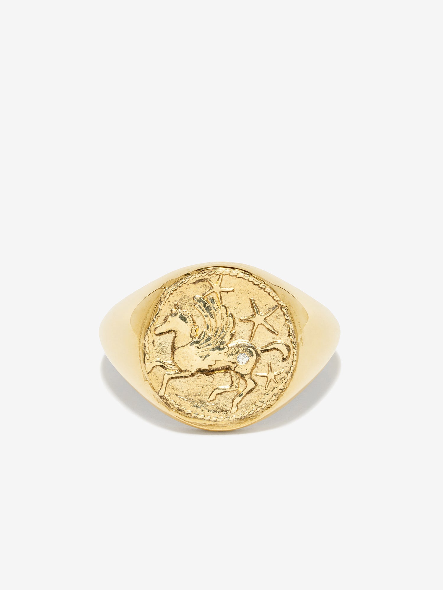 Pegasus Wisdom Coin Signet Ring – AZLEE Jewelry