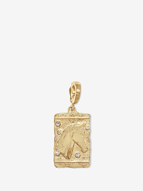 Horse Medium Relic Coin
