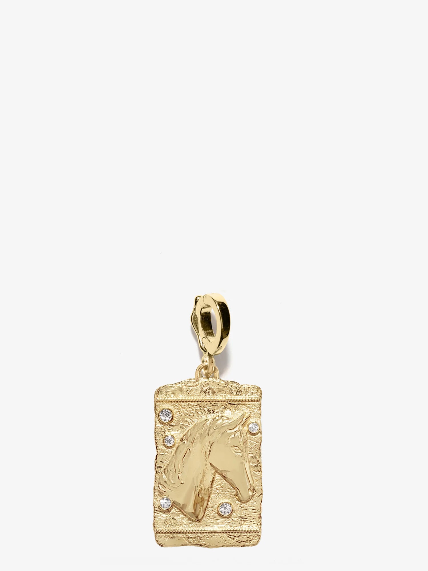 Horse Medium Relic Coin