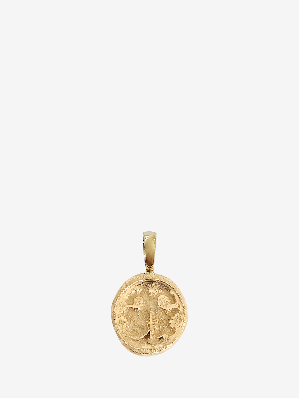 Nose Print Coin