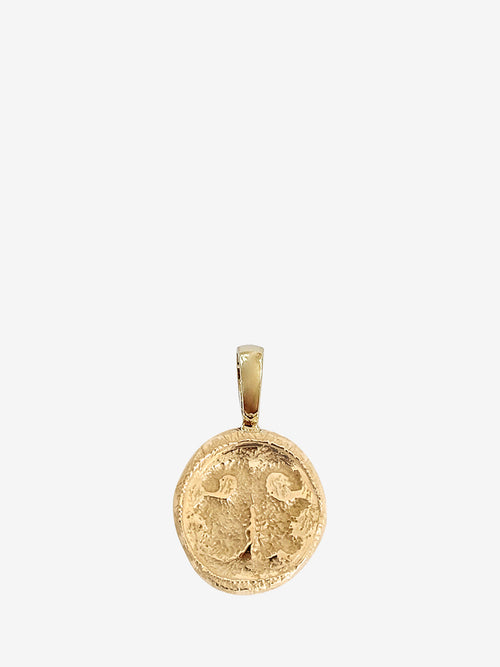 Nose Print Coin
