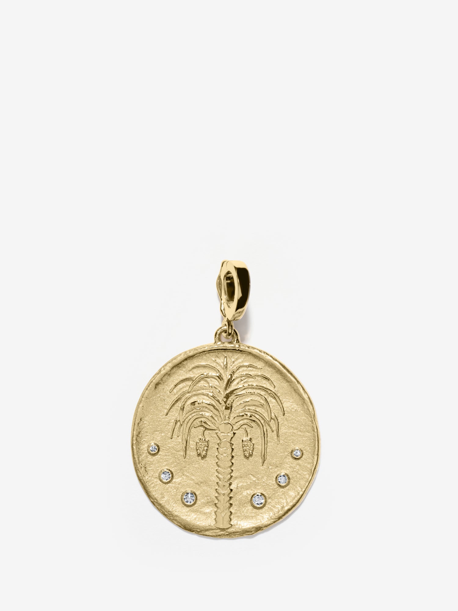 Prosperity Palm Large Diamond Coin Charm
