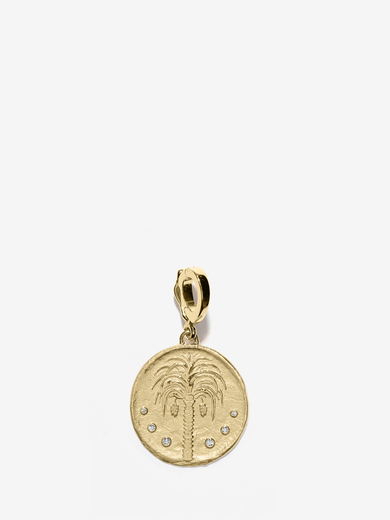 Prosperity Palm Small Diamond Coin Charm