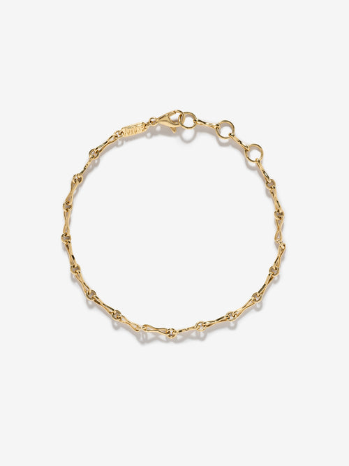 Small Motif Anklet