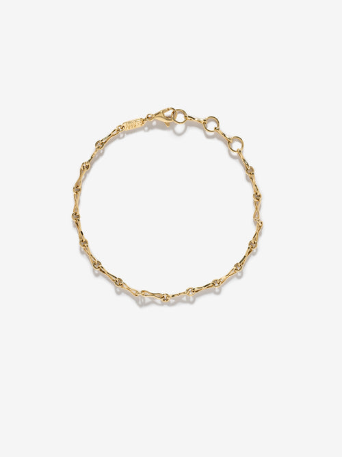 Small Motif Anklet